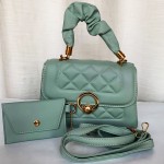 Female Hand Bag 2 Piece With Leather Handle C Green Color QB00260