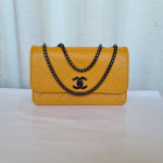 Chanel Ladies Stylish Bags QB00154