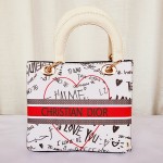 Dior Ladies Stylish Hand Bag Multi Color QB00200