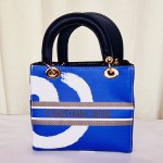 Dior Ladies Stylish Hand Bag Multi Color QB00201