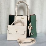 Dior Ladies Hand Bag 2 Piece With Leather Stripe Multi Color QB00298