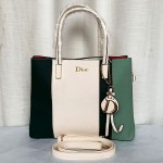 Dior Ladies Hand Bag 2 Piece With Leather Stripe Multi Color QB00298