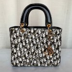 Dior Ladies Hand Bag Multi Color QB00239