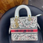 Dior Ladies Stylish Hand Bag Multi Color QB00200