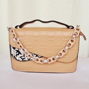 Chanel Ladies Hand Bag With Plastic Chain QB00196