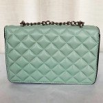 Chanel Girls Hand Bag With Long Stripe C Green Color QB00256