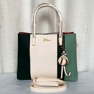 Dior Ladies Hand Bag 2 Piece With Leather Stripe Multi Color QB00298