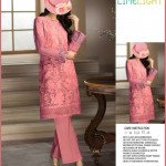 Limelight LT-Orange Embroidered Organza QS00102